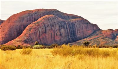 The Olgas